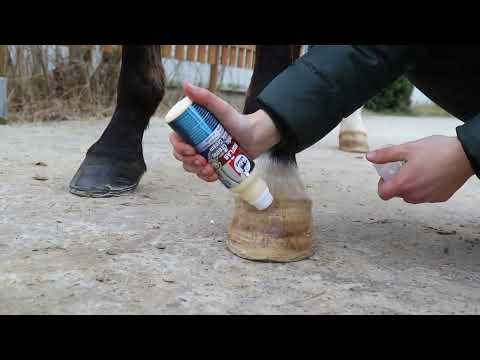 Leovet Huflab Elastic Creme