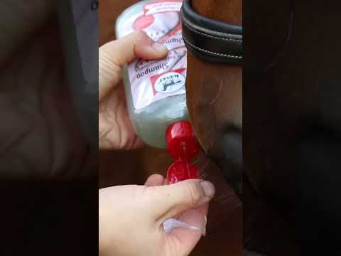 Leovet Silkcare Shampoo