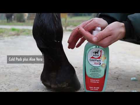 Leovet Cold Pack Plus