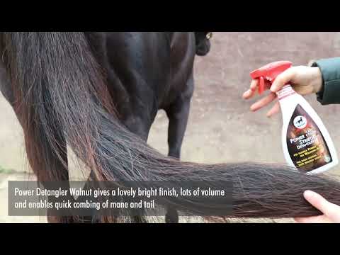 Leovet Power Striegel Walnuss