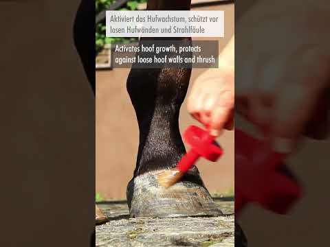 Leovet Huflab Huföl