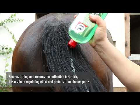 Leovet Teebaum Body Wasch