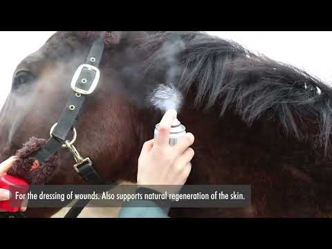 Leovet Zink Oxid Spray